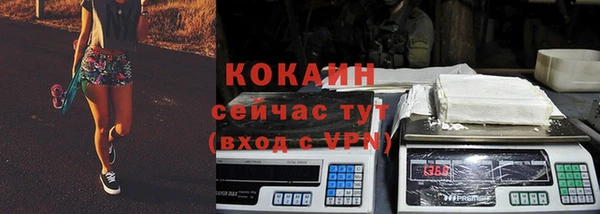 шишки Новозыбков