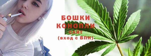 шишки Новозыбков