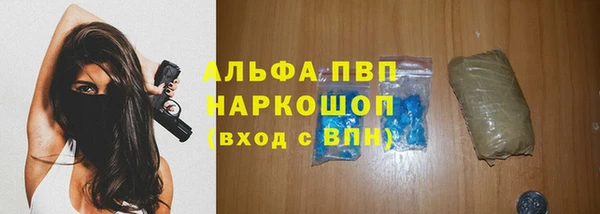 ешки Новокубанск