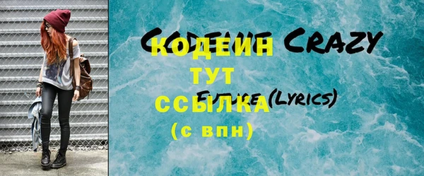 шишки Новозыбков