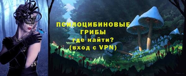 ешки Новокубанск