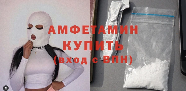 шишки Новозыбков