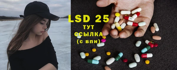 шишки Новозыбков
