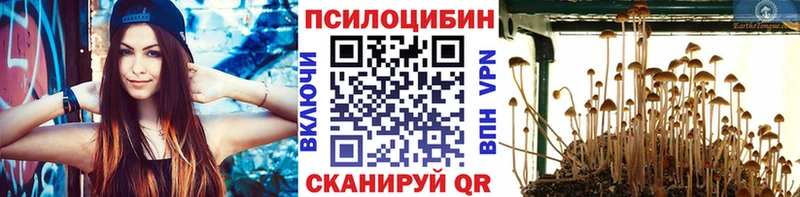 Купить  Приволжский  Галлюциногенные грибы MAGIC MUSHROOMS 